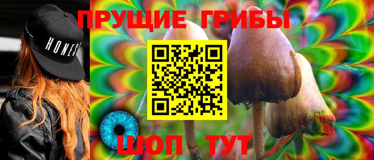 Галлюциногенные грибы MAGIC MUSHROOMS Дербент