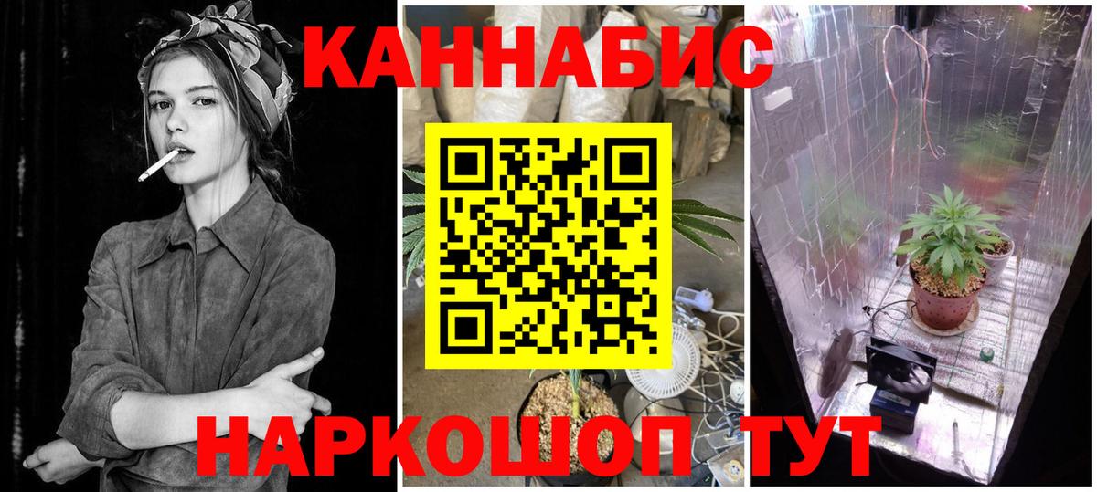 Канабис Bruce Banner Дербент